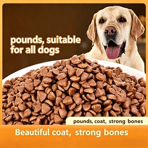 Factory-Direct Dog Dry Food Cost-Effective All-Breed Kibble