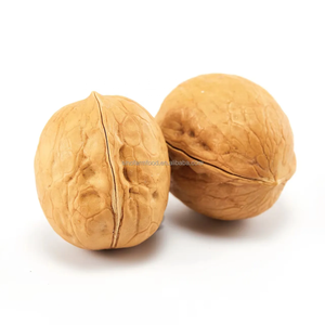 Walnut 185 China Supplier's 32+ Grade 25kg Bulk Pack Dried Shell Unwashed/Washed Healthy Raw Food Cheap Price for Export