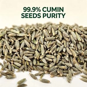 Natural Wholesale Dried AD Raw Cumin Seeds Single Spices Food Grade