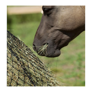 Factory 6' X 6' Green Large Size Slow Feeder Bag Horse Slow Feed Hay Net for Animals