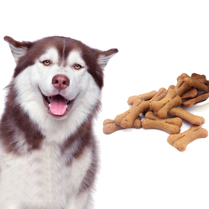 OEM ODM LUSCIOUS Brand High Protein Dog Treats Biscuits Oatmeal Flavor