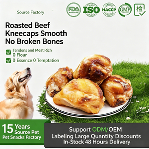 OEM Wholesale Snack Dried Cow Eucommia Bone Chew Bones Dental Chew Bones Dog Food Pet Food Pet Snacks Dog Treats